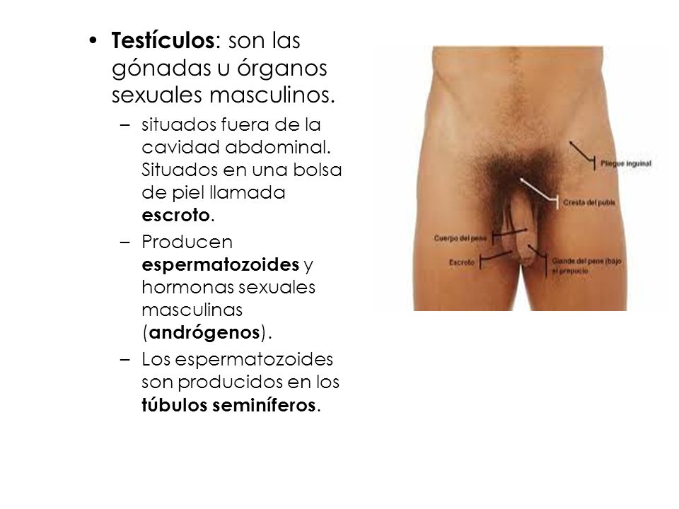 fuera de llamada chica semen en Granada fuera de llamada chica semen en Granada
